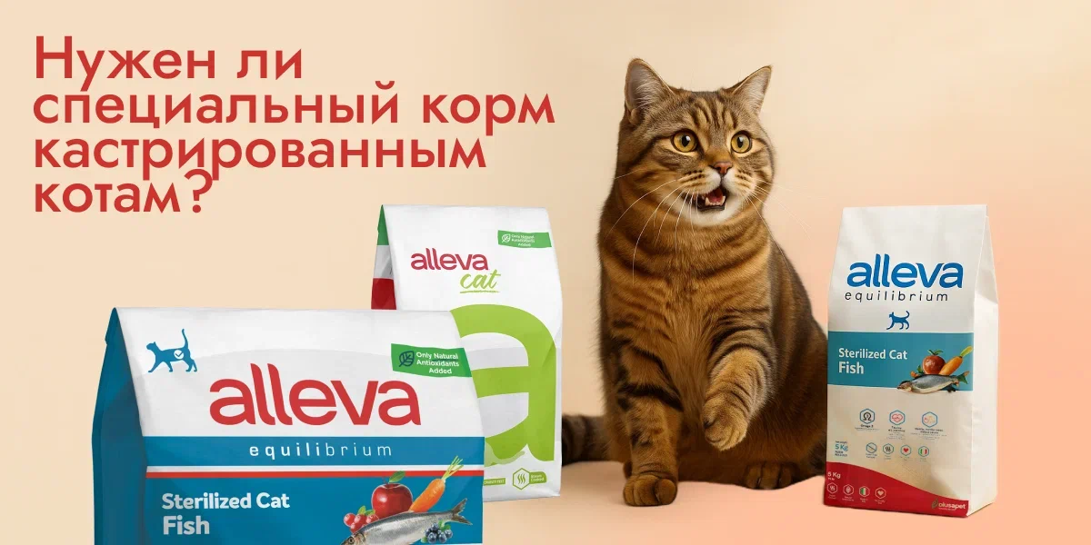 Корм для кастрированного кота