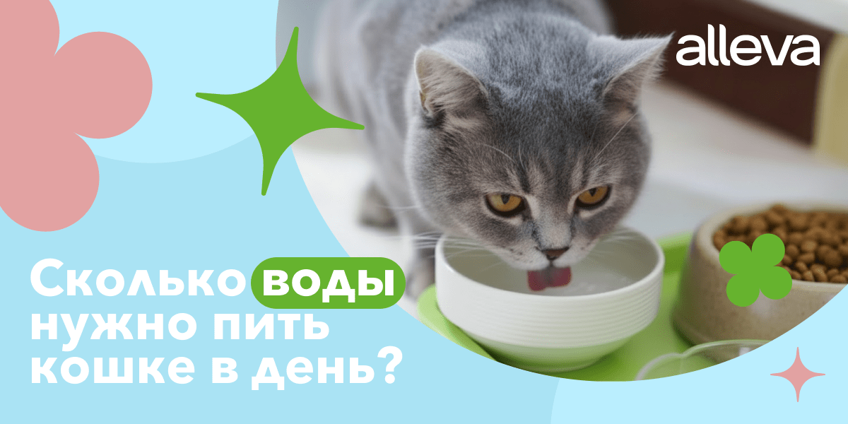 Сколько воды в день давать кошке